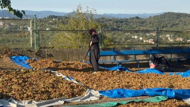 Türkoğlu: 'Üreticinin Emeğini Yok Saymayın'