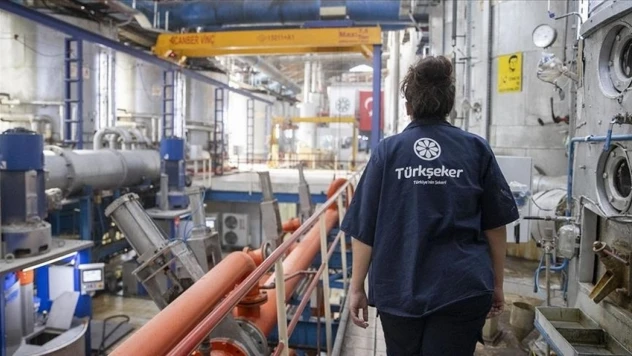 Türkşeker'in Pancar Alım Fiyatı Açıklandı