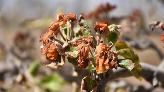 Üreticilere 798 Milyon Lira Yeni Destek Ödemesi