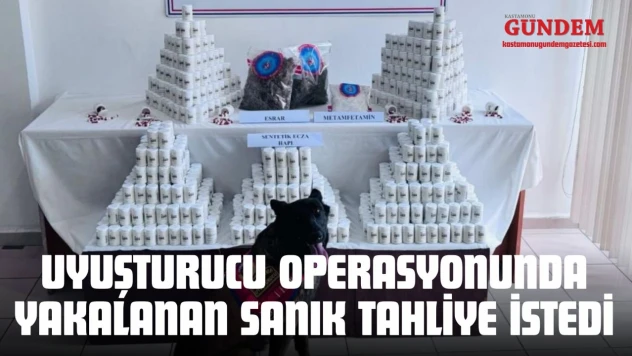 Uyuşturucu Operasyonunda Yakalanan Sanık Tahliye İstedi