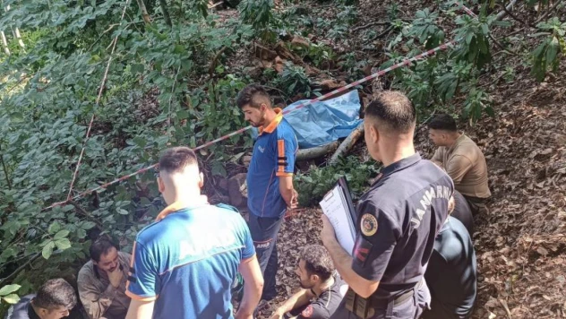 Üzerine ağaç devrilen vatandaş hayatını kaybetti