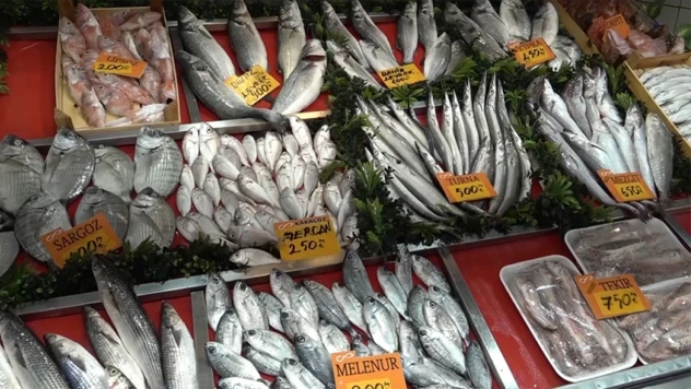 Uzmanından Dip Balık Önerisi