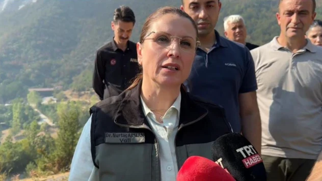 Vali Arslan'dan Yangına İlişkin Açıklama