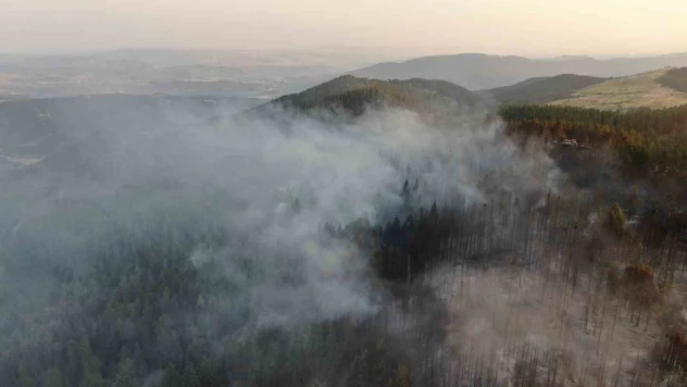 Vali Taşolar, Orman Yangınını İhbar Eden Çocuğa Teşekkür Etti
