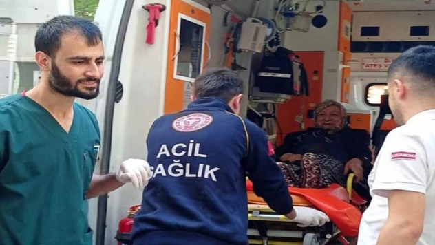 Vatandaşlık Görevlerine Yardımcı Oldular