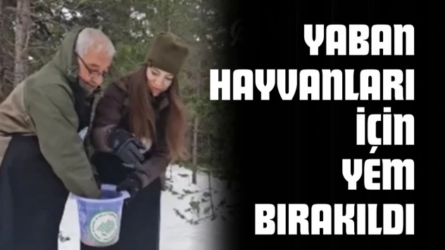 Yaban Hayvanları İçin Yem Bırakıldı