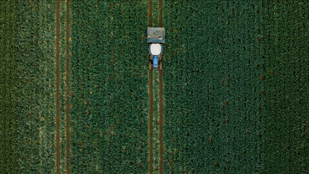 Yağış Miktarı Yüzde 60 Arttı