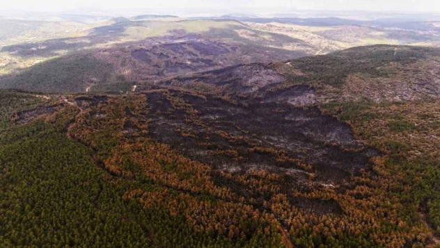 Yangının Etkili Olduğu Alanlar Dron İle Görüntülendi
