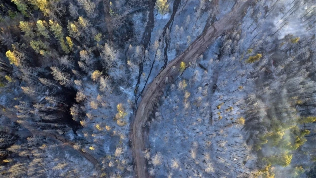 Yangınlara Karşı Planlı Otlatılma Önerisi