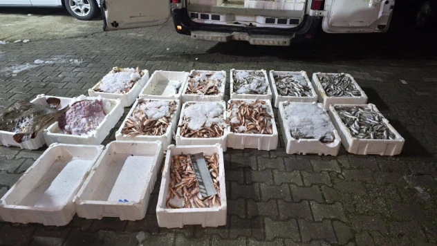 Yasa Dışı Avcılığa Geçit Yok