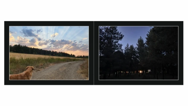 Yaşama Estetik Bağlılık Sergisi Sanatseverlerle Buluşuyor