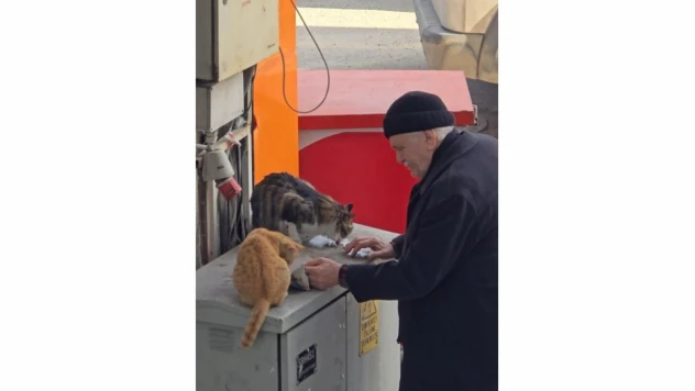 Yaşlı Adamın Sokak Kedilerine Şefkati Yürekleri Isıttı