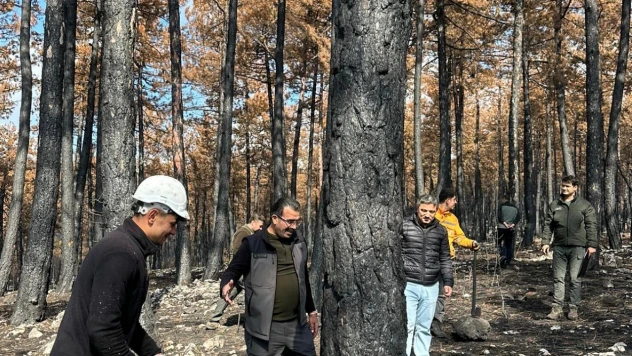 Yaslıkaya, Damgalama Ve Rehabilitasyon Çalışmalarını İnceledi