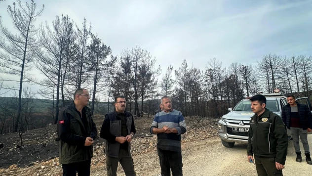 Yaslıkaya'dan Yangın Bölgesinde İnceleme