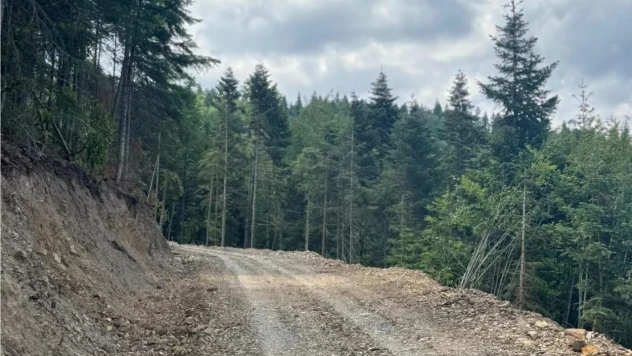 Yatırımlar Bir Bir Tamamlanıyor