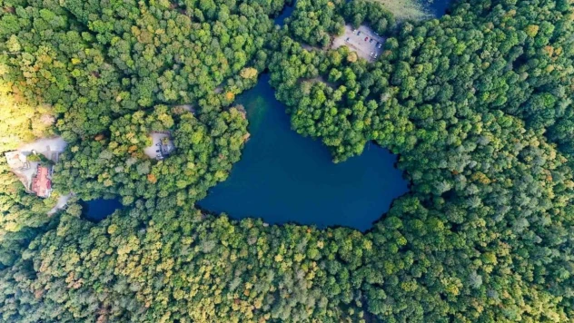 Yedigöller'de Sonbahar