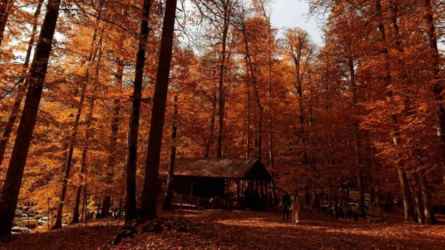 Yedigöller Milli Parkı Ziyaretçi Akınına Uğradı