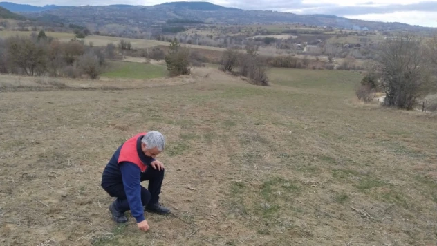 Yem Bitkileri Arazi Kontrolleri Devam Ediyor