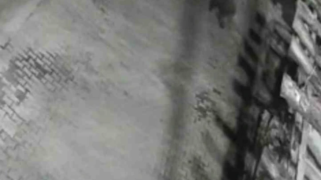 Yerleşim Alanına İnen Ayılar Köy Sakininden Korkup Kaçtı