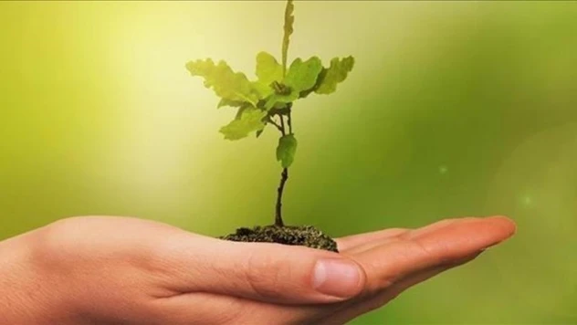 Yeşil Dönüşüm OVP İle Hızlandırılacak