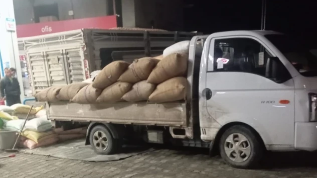 Yılbaşına Günler Kala Fındık Fiyatları Yükselişe Geçti