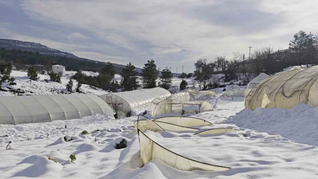 Yoğun Kar Çok Sayıda Serayı Yıktı