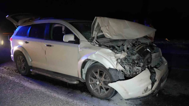 Yola Çıkan Hayvanlara Otobüs Ve Cip Çarptı