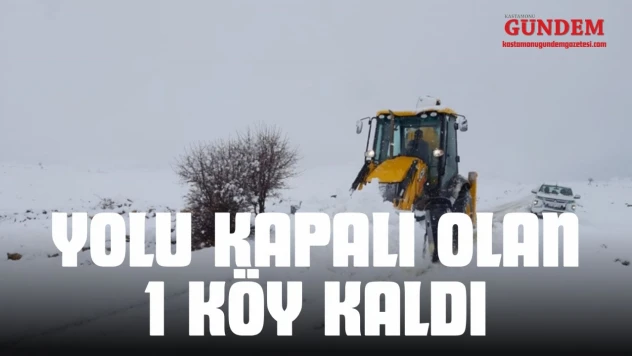 Yolu Kapalı Olan 1 Köy Kaldı