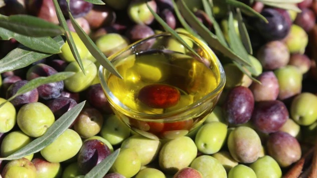 Zeytin, Sebze Mi Yoksa Meyve Midir?