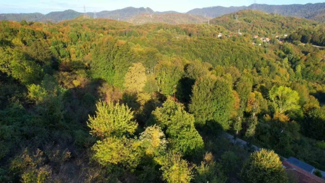 Zonguldak Sonbahar Renkleri Mest Etti