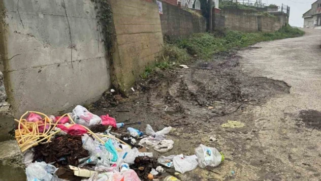 Zonguldak'ta Çöp Ve Yol Sorunu Vatandaşı Çileden Çıkardı