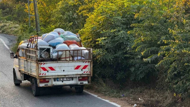 Zonguldak'ta Köylüler Fındık Toplayıcıların Gürültüsünden Şikayetçi