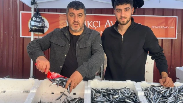 Zonguldak'ta Hamsinin Fiyatı Düştü