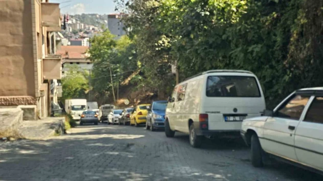 Zonguldak'ta Hatalı Park İsyanı