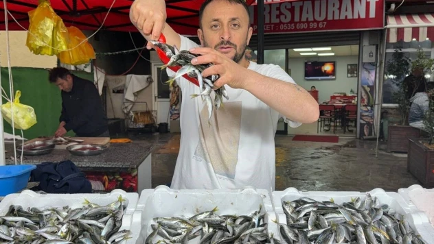 Zonguldak'ta İstavrit Tezgahta 100 Liradan Satıldı