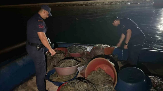 Zonguldak'ta Kaçak Kalkan Avcılığına Operasyon