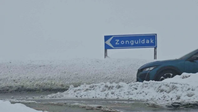 Zonguldak'ta Kar Etkili Oldu