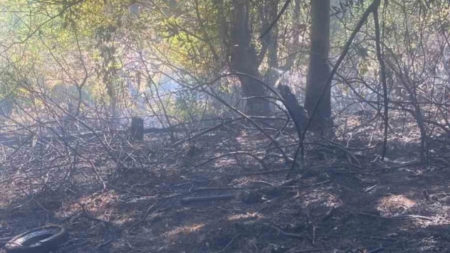 Zonguldak'ta Ormanlık Alanda Yangın