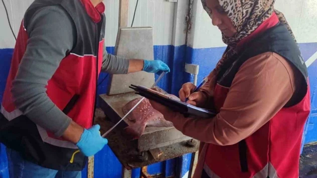 Zonguldak'ta Su Ürünleri Denetimleri Sürüyor