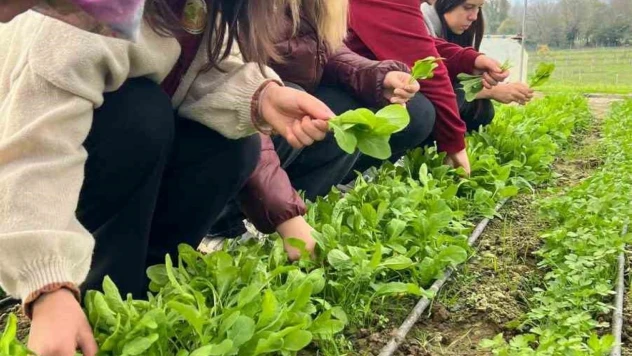 Zonguldak'ta Tarım Lisesi Öğrencileri, Hasat Yaptı
