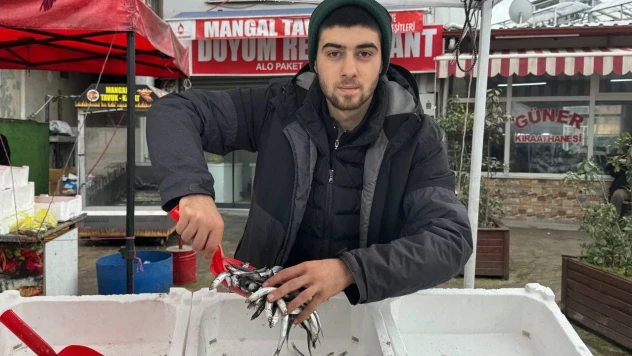 Zonguldak'ta Hamsinin Yerini İstavrit Ve Mezgit Alacak