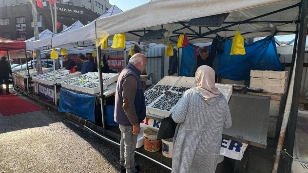 Zonguldak'ta Tezgahtaki Hamsi Yerini Diğer Çeşit Balıklara Bırakıyor