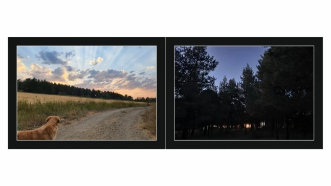 Yaşama Estetik Bağlılık Sergisi Sanatseverlerle Buluşuyor