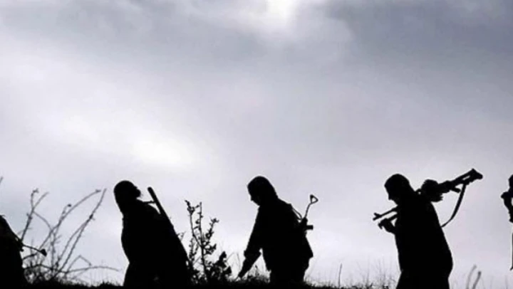 Ağrı'da yakalanan iki şüpheliyi YSP'li H.B. ile şoförünün getirttiği ortaya çıktı