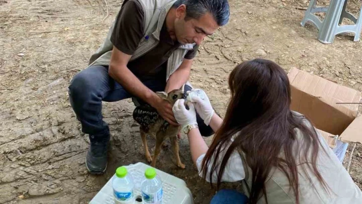 Annesi Terk Etti, Ekipler Sahip Çıktı