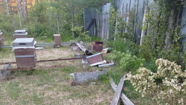 Arı Kovanlarını Parçaladı!