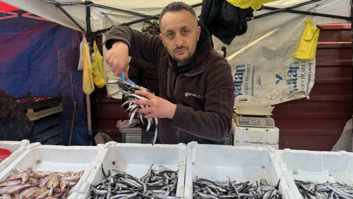 Zonguldak'ta Balık Fiyatları Arttı