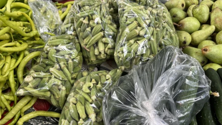 Bamyanın kilosu 100 lira
