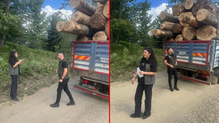 Bolu'da Kaçak Orman Emvaline Geçit Yok