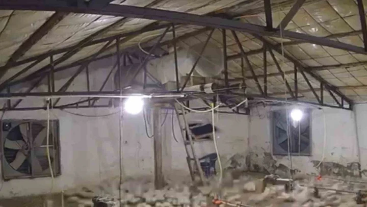 Bolu'da Kümese Girmeye Çalışan Ayı Kamerada